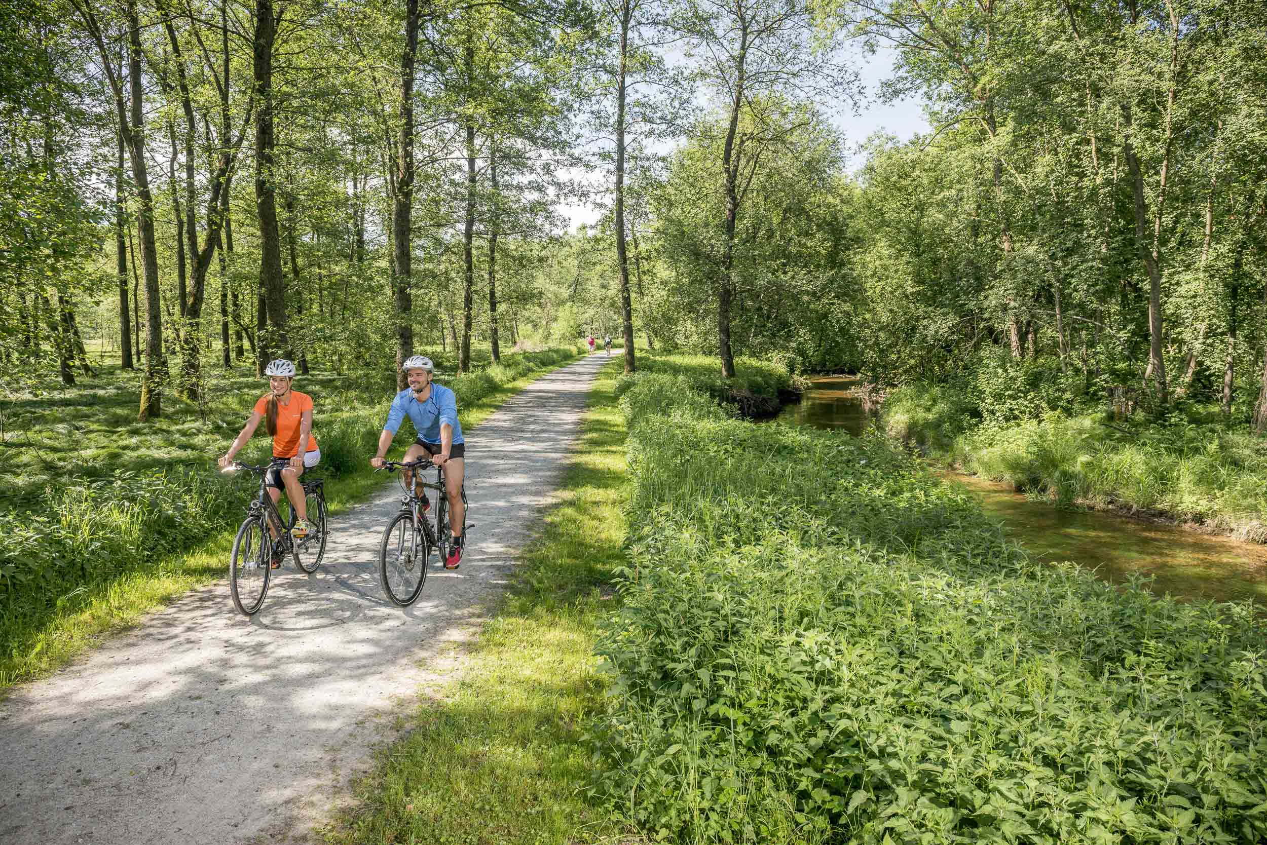 Radfahren in Yspertal